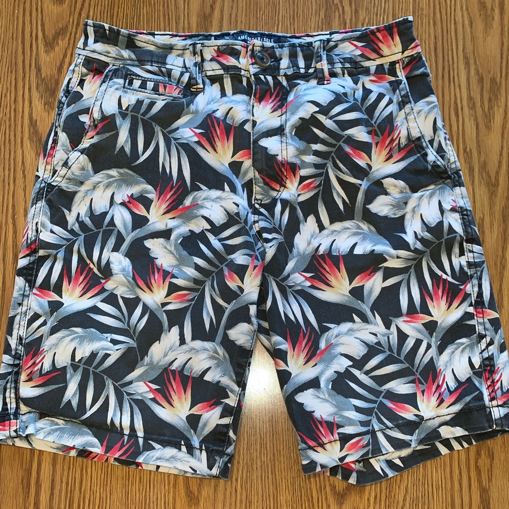American Eagle Men’s shorts - Size 30 (EUC)